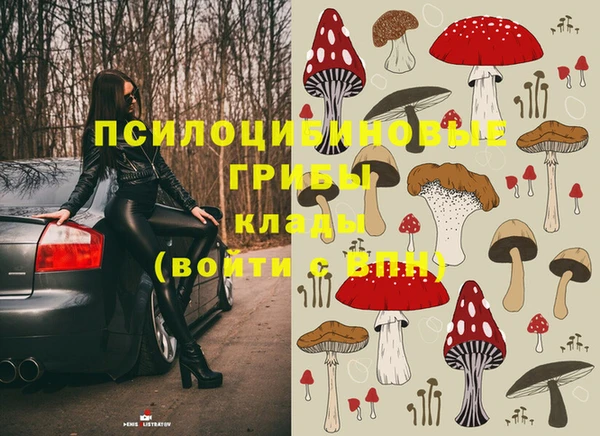 ешки Беломорск