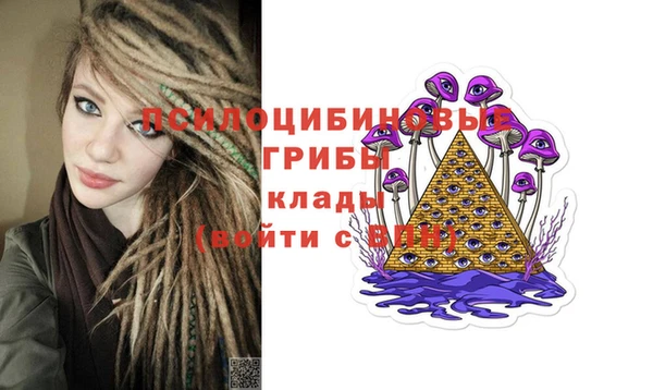 ешки Беломорск